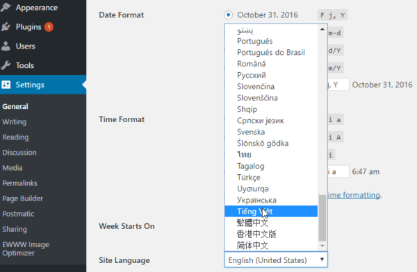 Viet Hoa Theme WordPress Bang Plugin Loco Translate